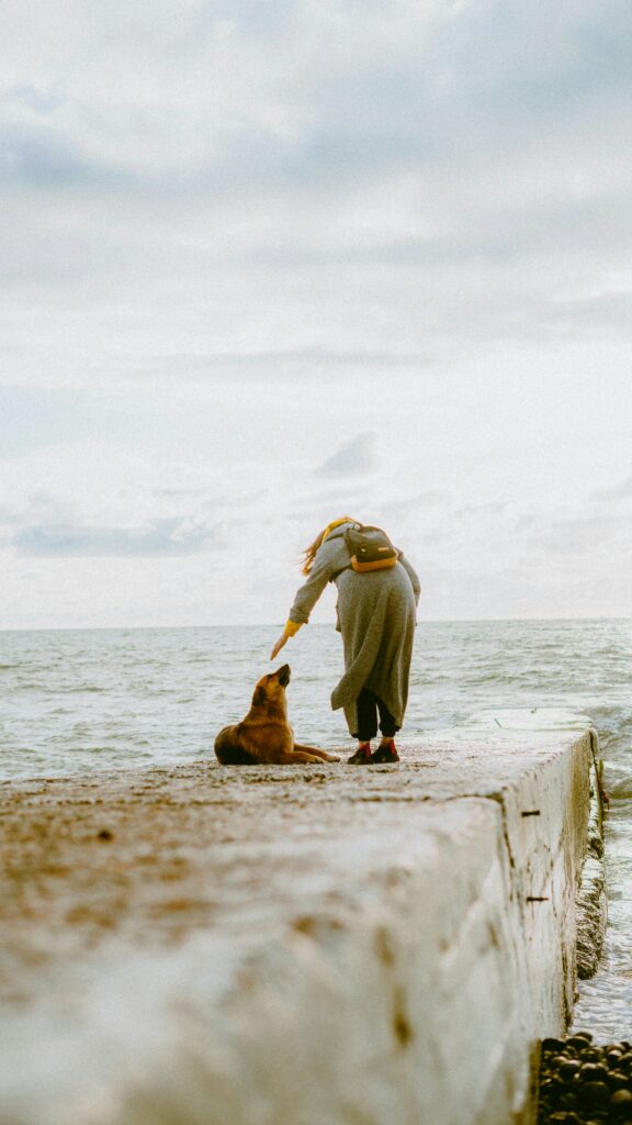 girl and dog counseling therapy dogs animal assisted anxiety trauma tampa bay florida st petersburg somatic