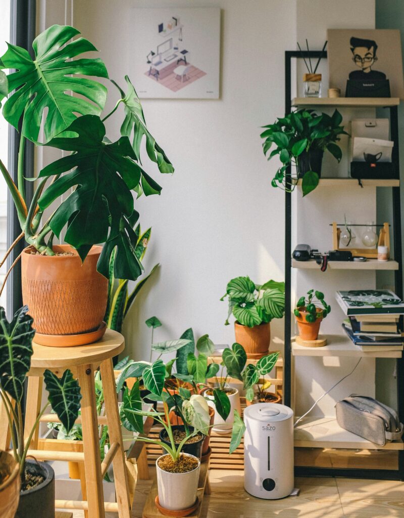 plants online therapy counseling south florida texas connecticut teen girls women